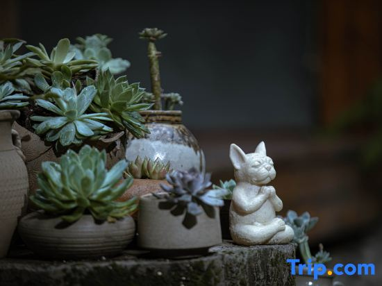 Дали: Zen Garden Inn