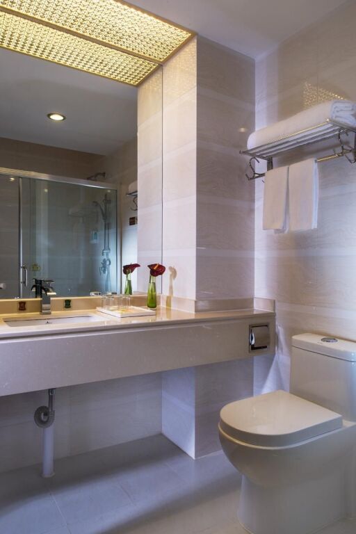 Шэньчжэнь: Vienna Hotel Shenzhen Pinghu Center Metro Station