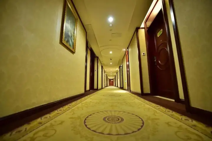 Шанхай: Vienna Hotel Shanghai Pudong Theme Park Wanda Branch