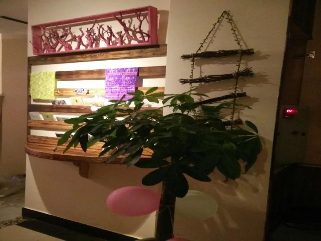Шанхай: Lutuo Hostel Jinqiao