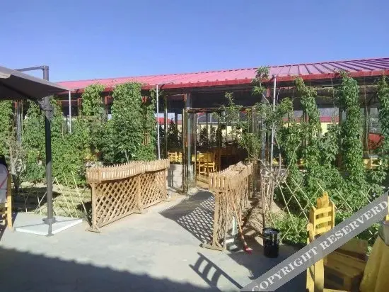 Чжунвэй: Shapotou Yanran Hostel