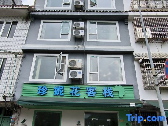 Яншо: Jenny Flower Hostel Yangshuo