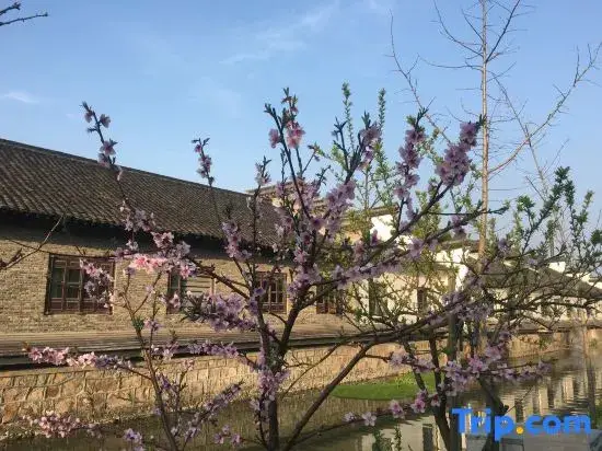 Цзясинь: Wuzhen Flower House