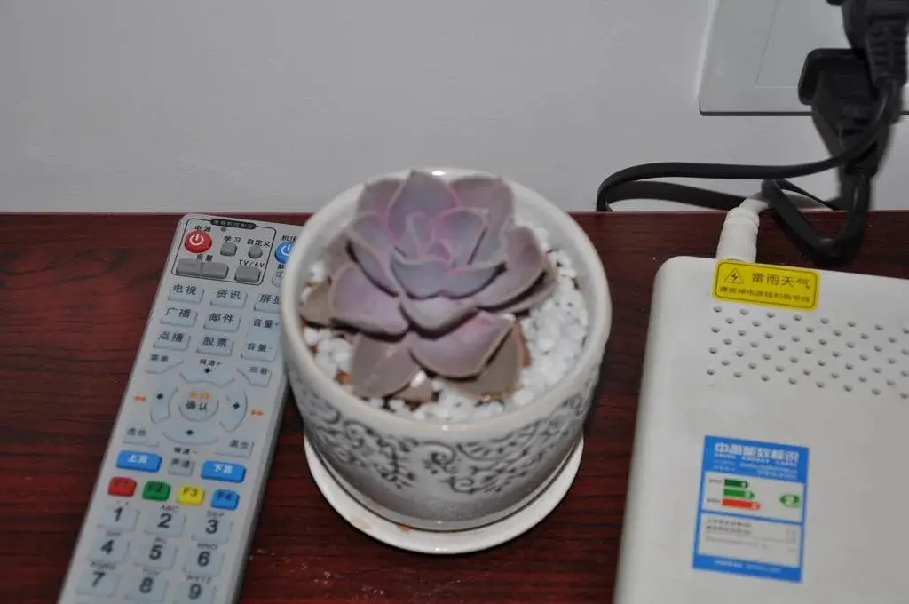 Нинбо: Xiangshan Xingyue Guest House