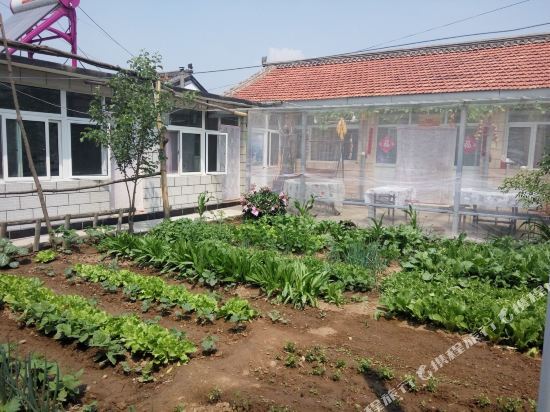 Пекин: Beijing Bailihualang Shanshuijian Farmstay
