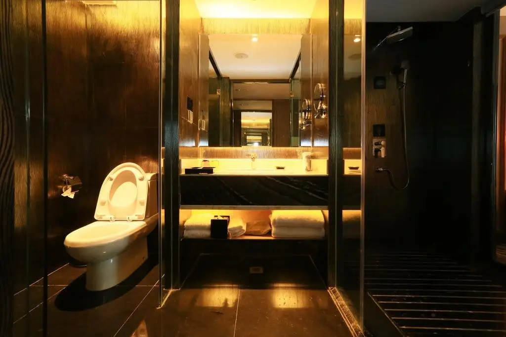 Чунцин: Chongqing Dongmo Hotel
