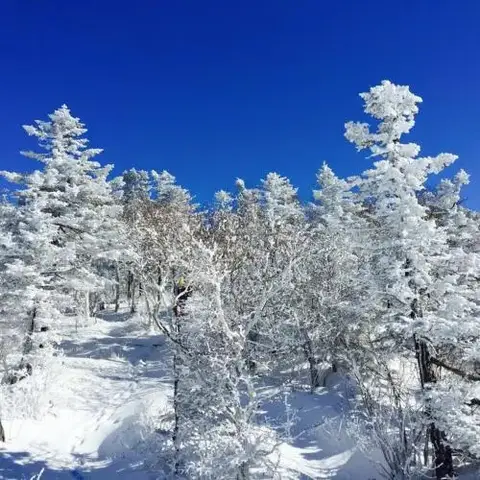 Yabuli Spring Snow Hotel — фото 1