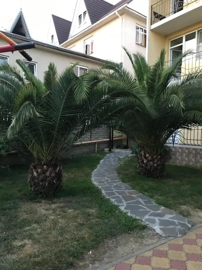 Сочи: Ариана