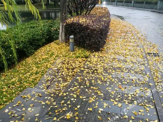 Нинбо: Ningbo Development Zone Huangshan Hotel