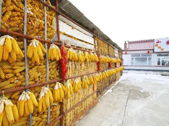 Цзилинь: Xiao Dongbei Wusong Inn