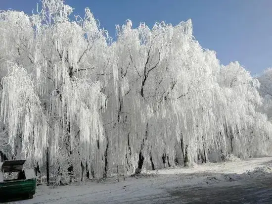 Цзилинь: Wusong Island Songjuyuan Country House