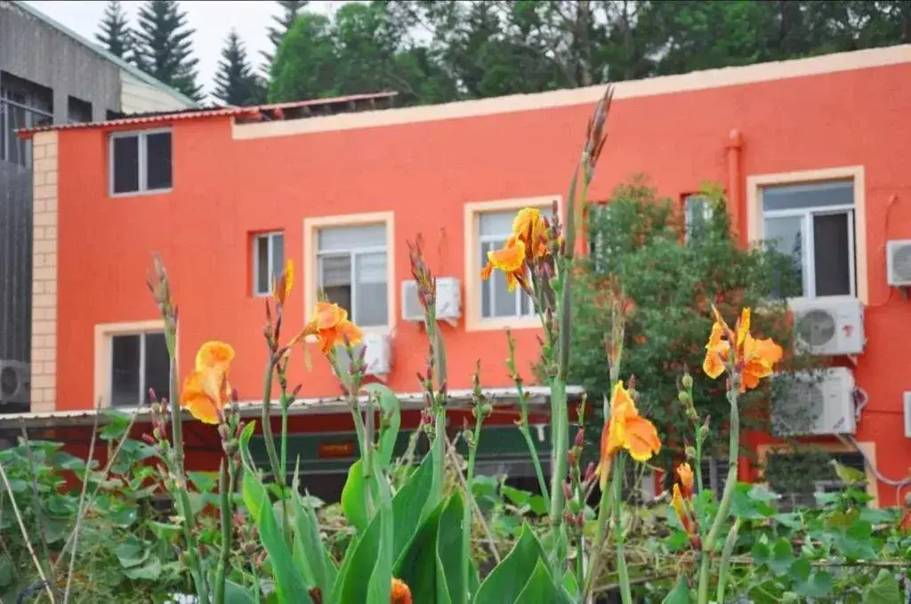 Сямынь: Xiamen Guiran Hostel