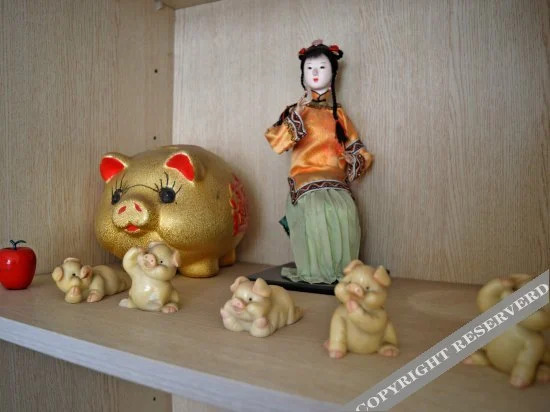 Шицзячжуан: Zhanfang Qingchun Youth Hostel