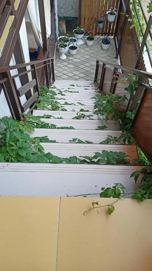 Голубицкая: Круиз