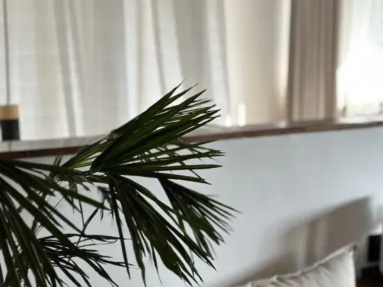 Дали: Nuodeng Gui Zhen Hostel