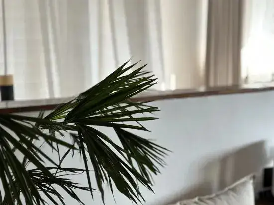 Дали: Nuodeng Gui Zhen Hostel