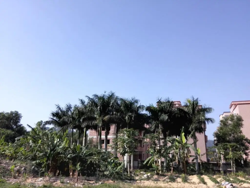 Шэньчжэнь: Shenzhen Dapeng Nanao Xing Kong Youth Hostel