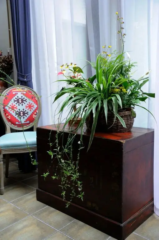 Пекин: Peking Station Hostel