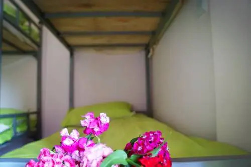 Куньмин: Shining Flower