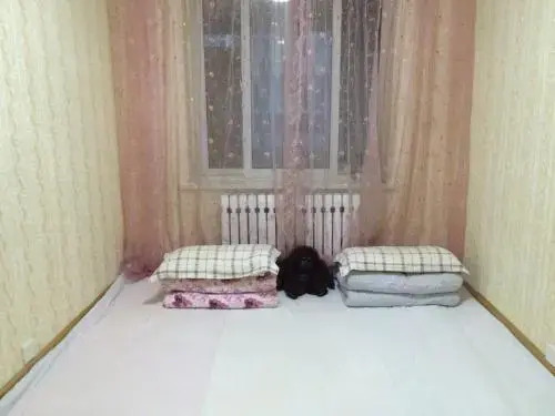 Шэньян: Palace Garden