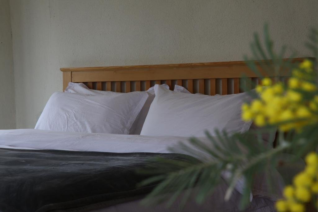 Дали: Dali Shaxi Moss Inn