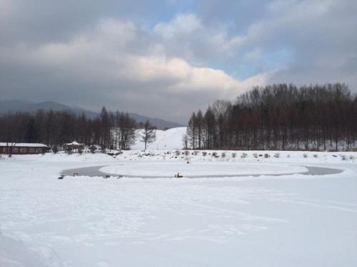Harbin Snow Valley Jiaxin Resort — фото 1