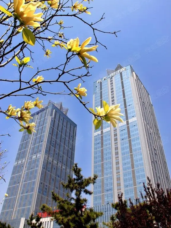 Shangchao Self Catering Apartment — фото 1
