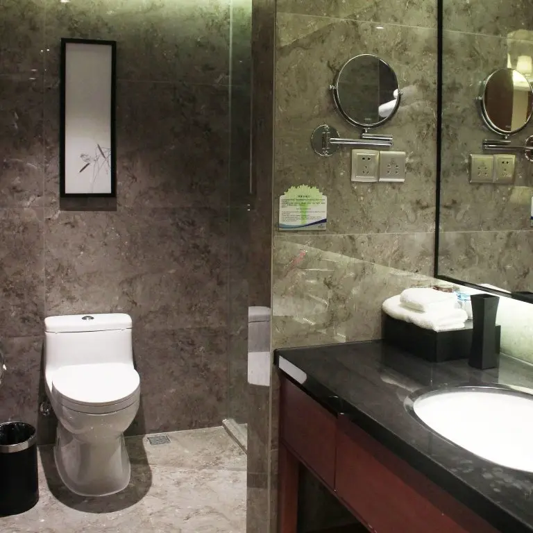 Шэньчжэнь: Wanyue Grand Skylight Hotel Shenzhen