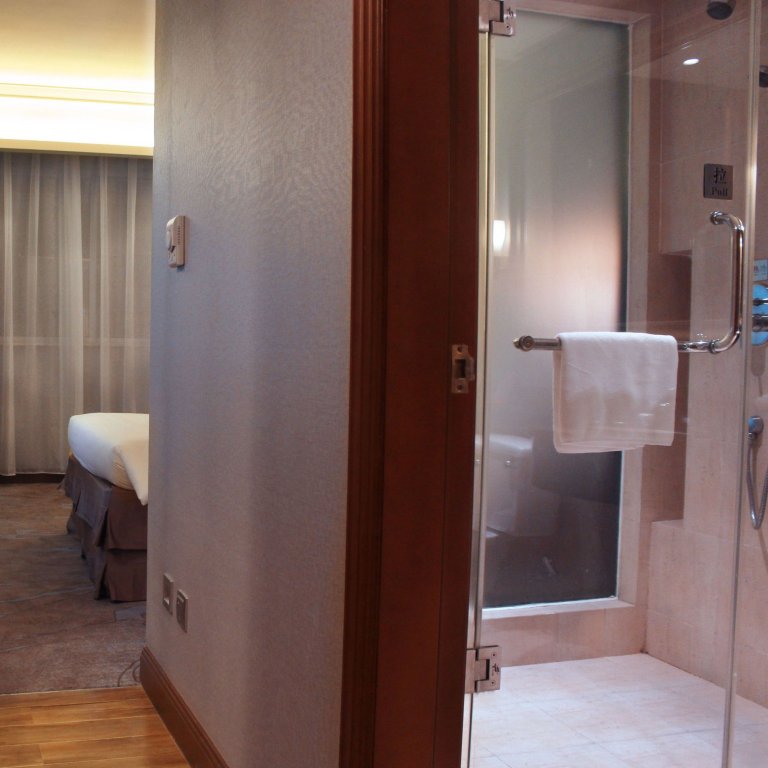 Шэньчжэнь: Wanyue Grand Skylight Hotel Shenzhen