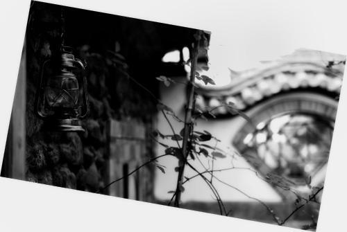 Дали: Dali Photography Theme Hostel