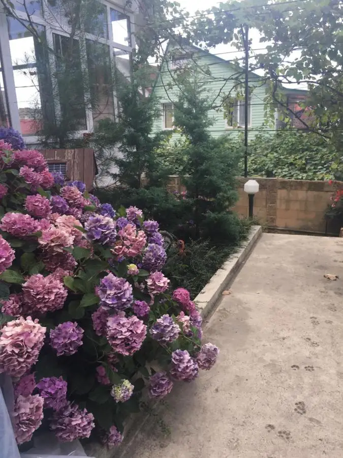 Сочи: Yakor