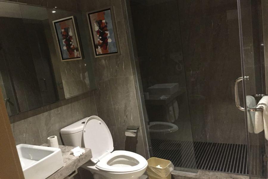Шанхай: Ji Hotel Shanghai Lujiazui Pudong South Road