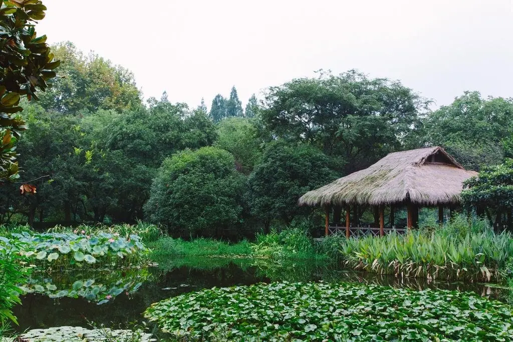 Ханчжоу: XiangTing Inn