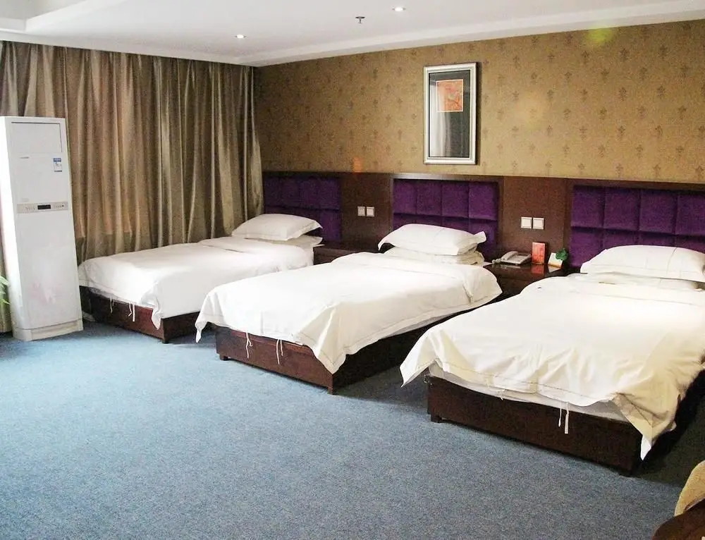 Чжэнчжоу: Zhongmou Hotel