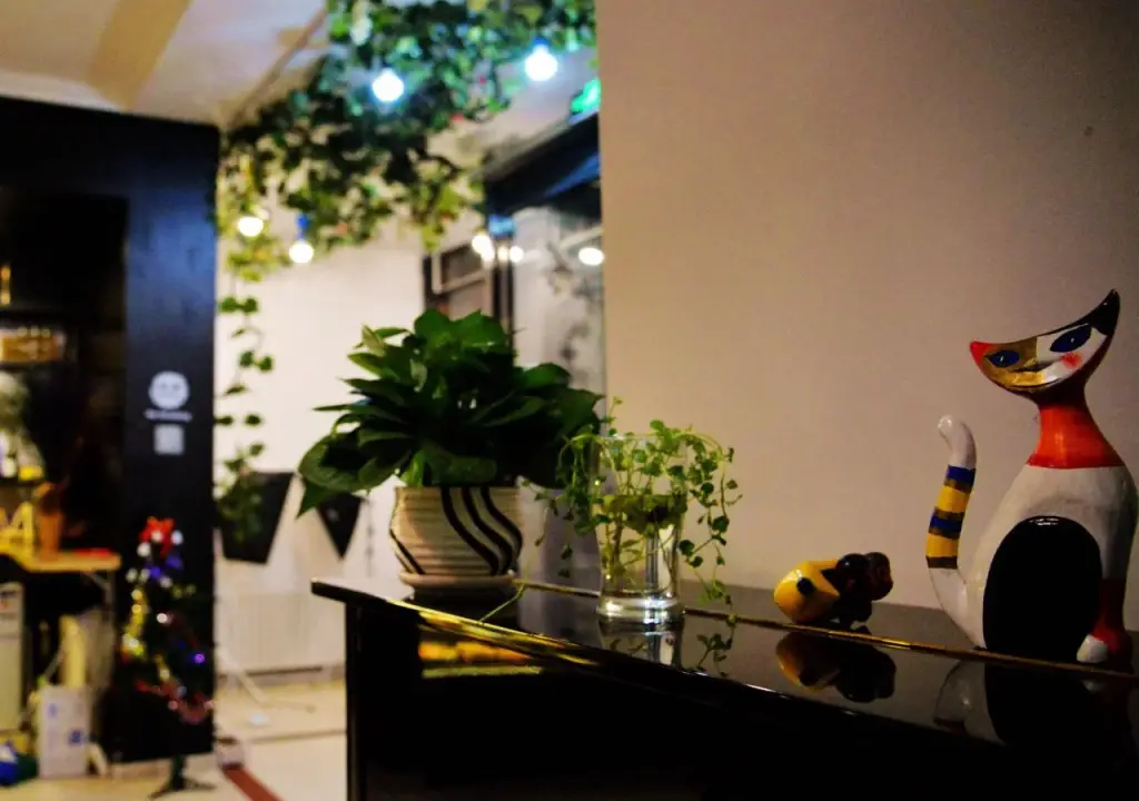 Шэньян: Shenyang Lazybee Youth Hostel