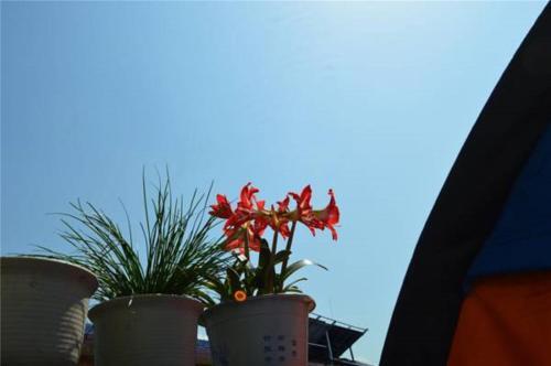 Чжанцзяцзе: Zhangjiajie Fly Youth Hostel