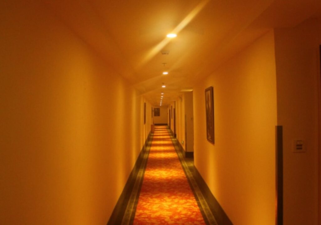 Шэньчжэнь: Greentree Inn Longhua Bus Station Shell Hotel