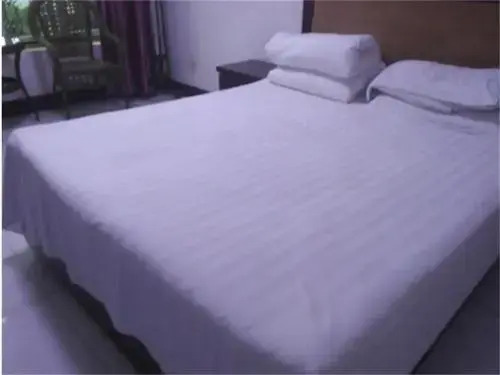 Мяньян: Mianyang Qingzhen Temple Guesthouse