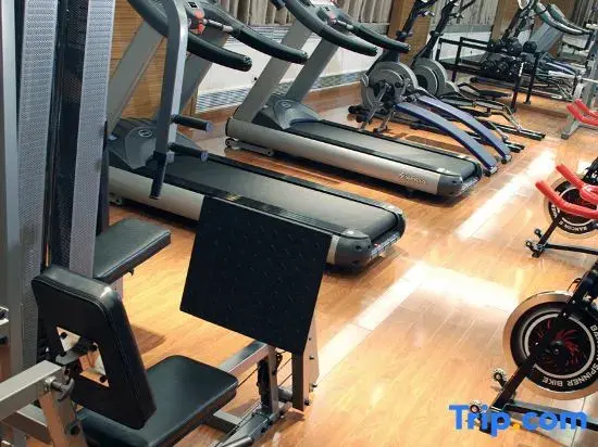Цзяюйгуань: Plaza Holiday Inn Jiayuguan