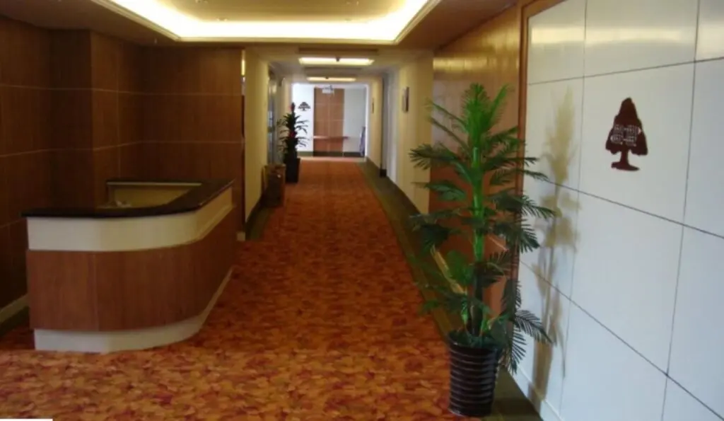 Янчжоу: GreenTree Inn Yangzhou Baoying South Anyi Road Express Hotel