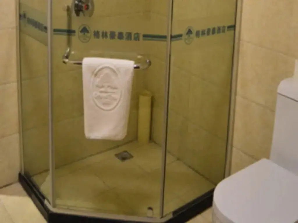Бочжоу: GreenTree Inn Anhui Bozhou West Guangming Road Tangwang Avenue Shall Hotel