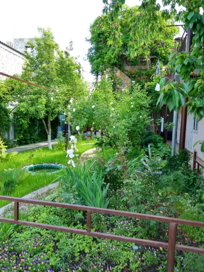 Витязево: Guesthouse Novosolov
