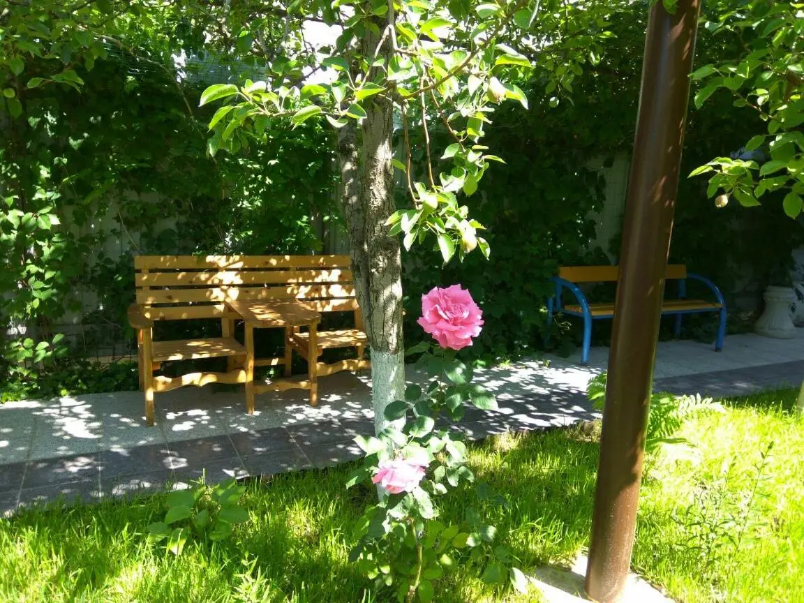 Витязево: Guesthouse Novosolov