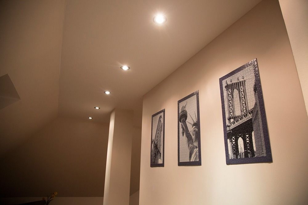 Калининград: Crazy Dog Hostel