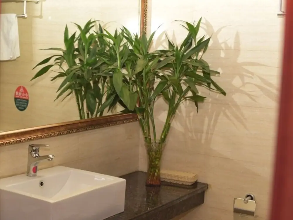 Хэфэй: GreenTree Inn Hefei South Tongcheng  Road Business Hotel