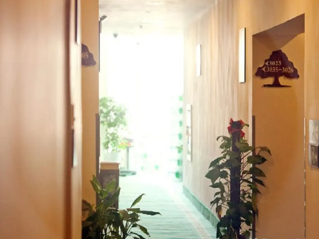 Нанкин: GreenTree Alliance Nanjing HanzhonGMEn Subway Station Hotel