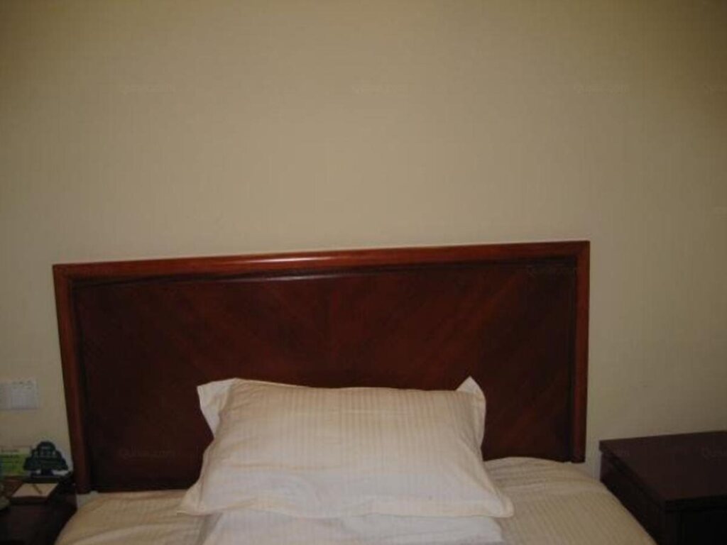 Нанкин: GreenTree Inn Jiangsu Nanjing Confucius Temple South Taiping Road Express Hotel