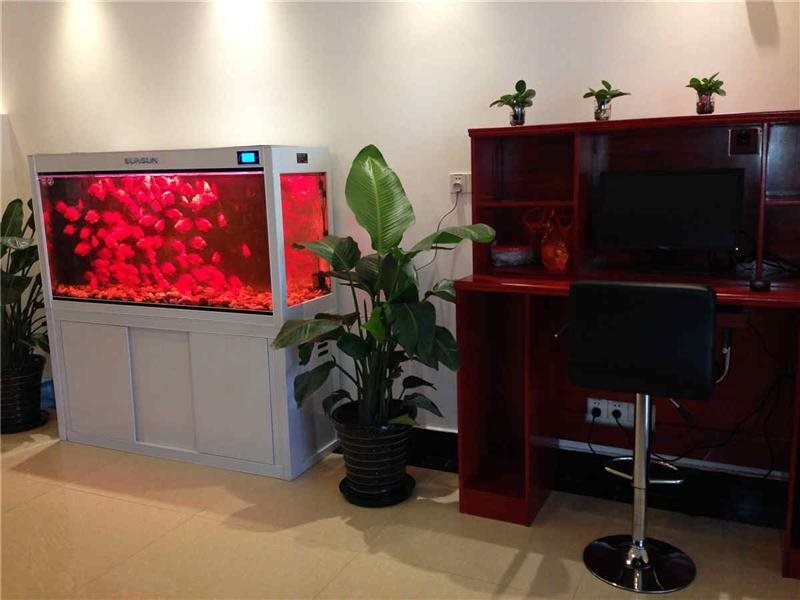 Шанхай: GreenTree Inn Shanghai Pudong Airport Huaxia East Road Express Hotel