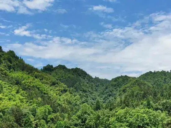 Яань: Ya'an Shangli Tianyi Hotel
