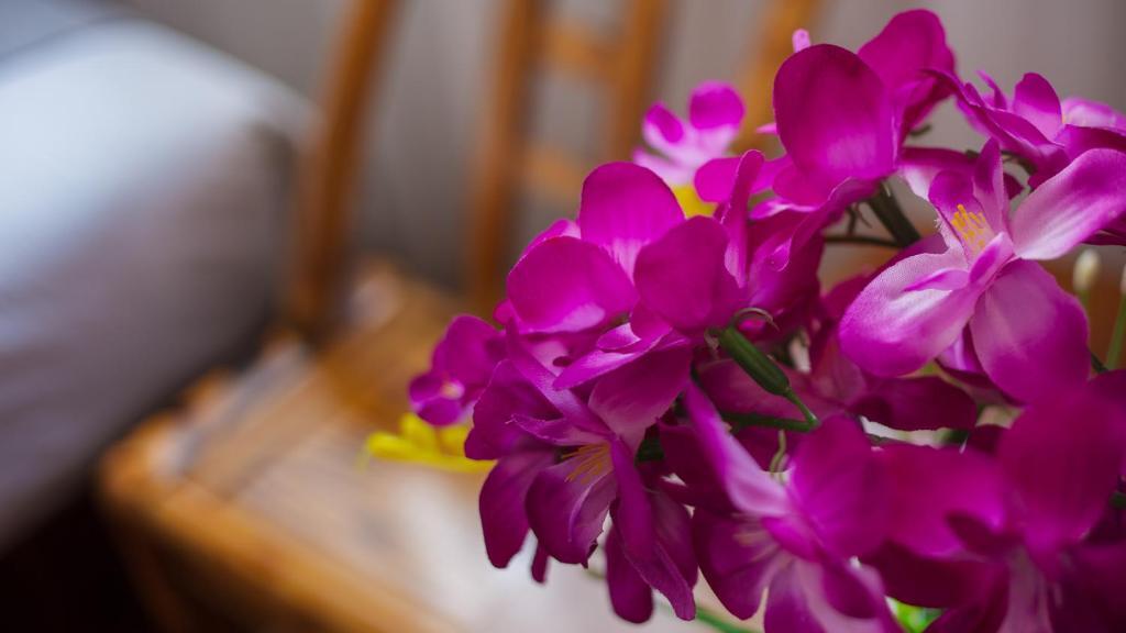 Чжанцзяцзе: Floral Hotel · Spring Guesthouse Zhangjiajie